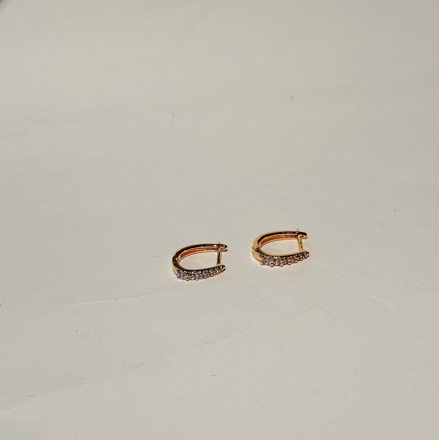 Cara Hoops - Image 2