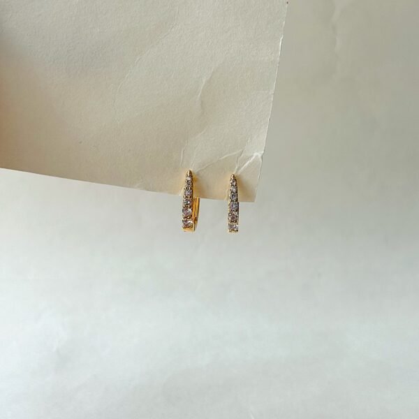 Cara Hoops