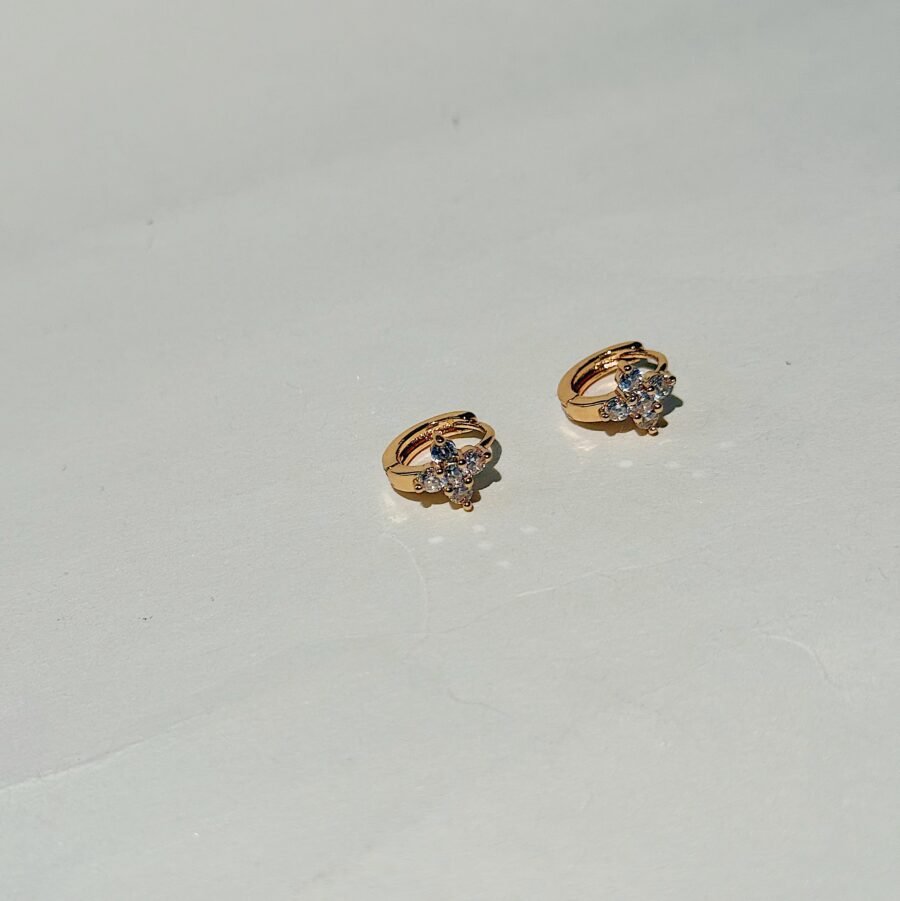 Liza Hoops - Image 2