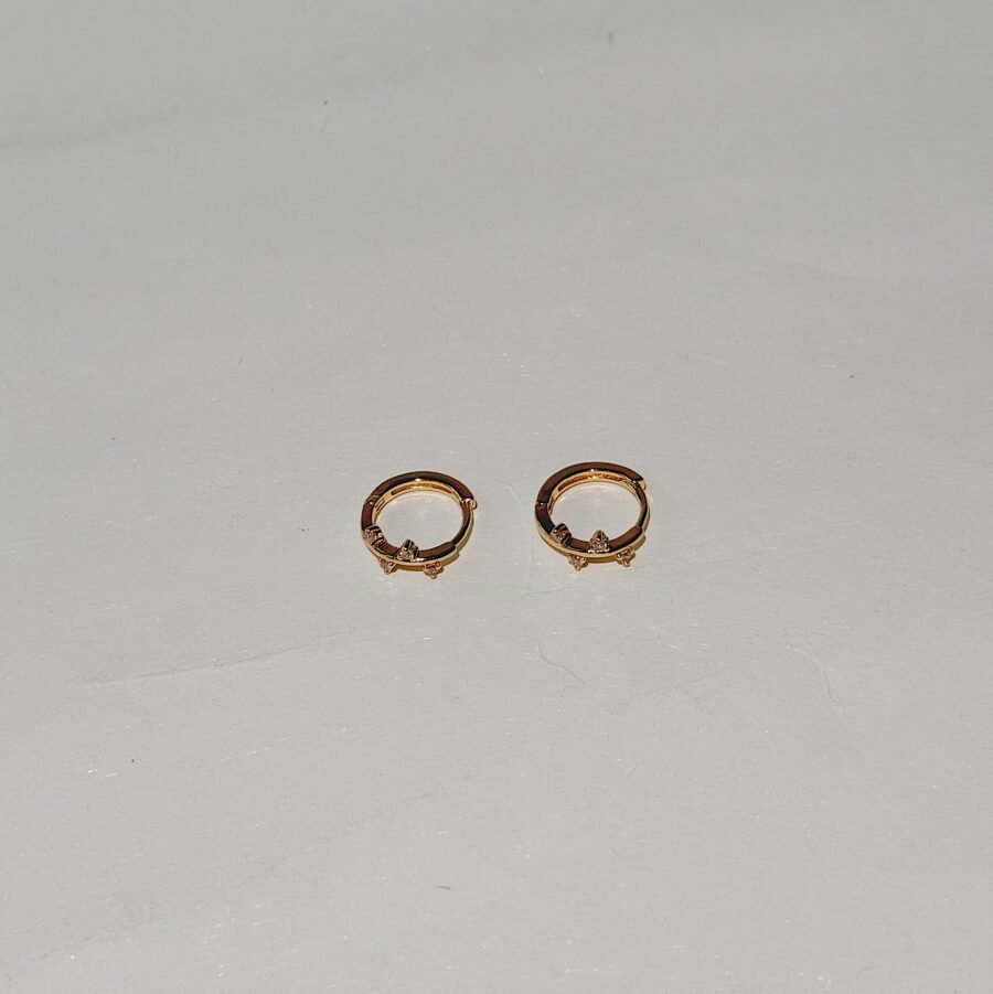 Dani Hoops - Image 2