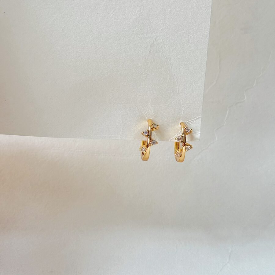 Dani Hoops