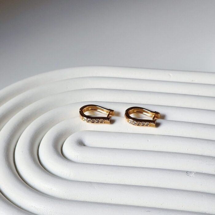Gina Hoops - Image 5