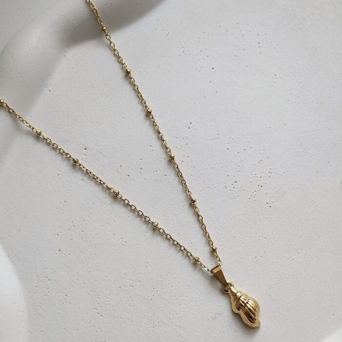 Conch Shell Necklace - Image 2