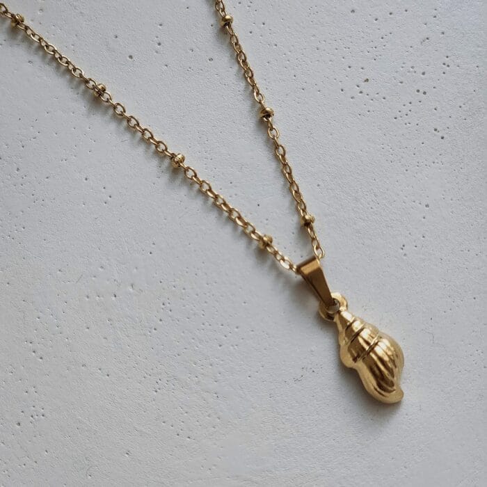 Conch Shell Necklace - Image 1