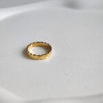 Joanne Ring - Image 3