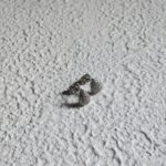 Tear Drop Studs - Image 5
