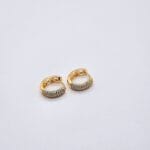 Lori Hoops