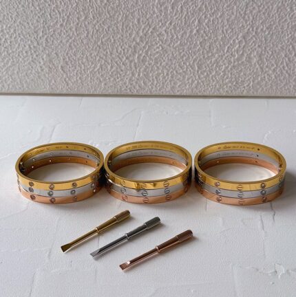 Amour Bangle with Screw Driver