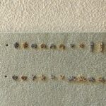 Single Piercing Studs - Image 4