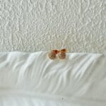 Kina Stud Earrings - Image 3