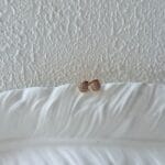 Kina Stud Earrings