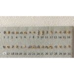 Single Piercing Studs - Image 2