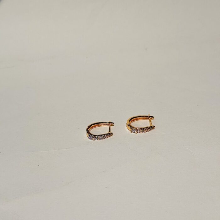 Cara Hoops - Image 2