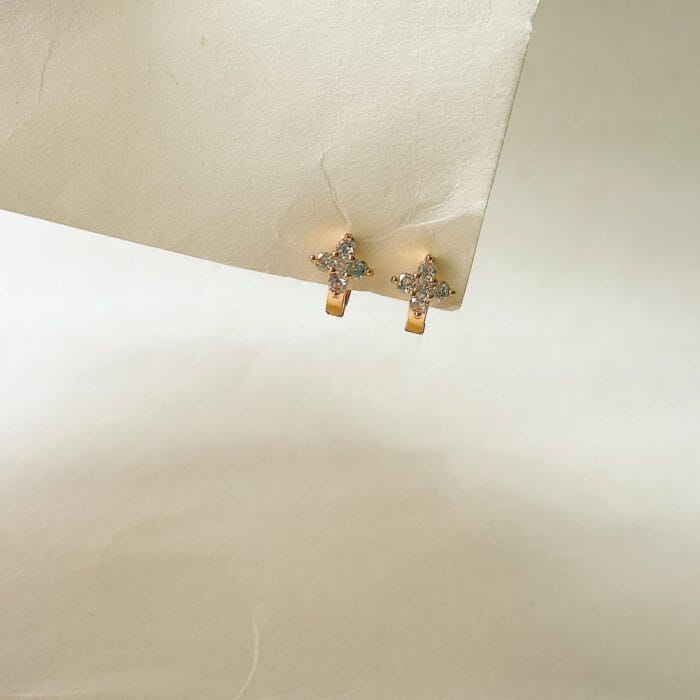 Liza Hoops - Image 3