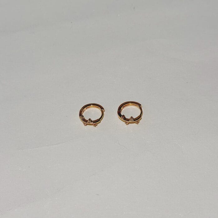 Dani Hoops - Image 2