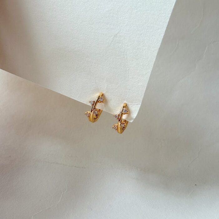 Dani Hoops - Image 3