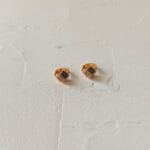 Zora Hoops - Image 2