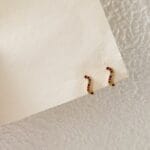 Capri Stud Earrings - Image 3
